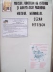 Panou Cezar Petrescu