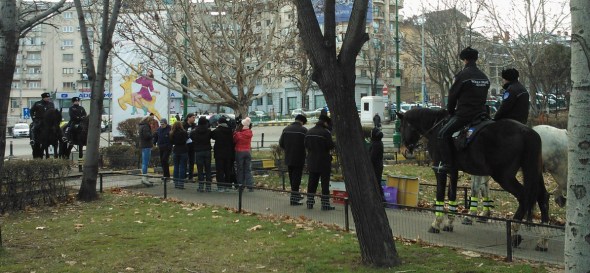 Control Politia Locala