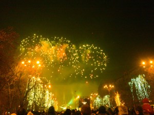 Piata Constitutiei 2013