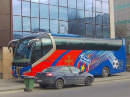 Steaua1