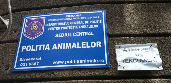 Politia Animalelor 2