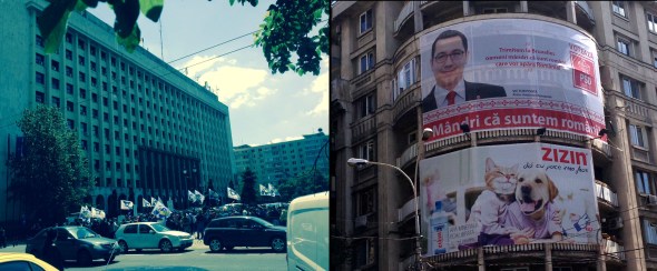 Proteste si Pisicul Ponta