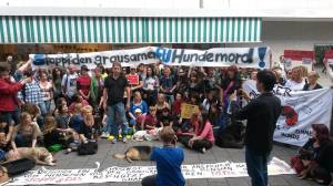 10330449_10204297685228525_375564332384332035_n