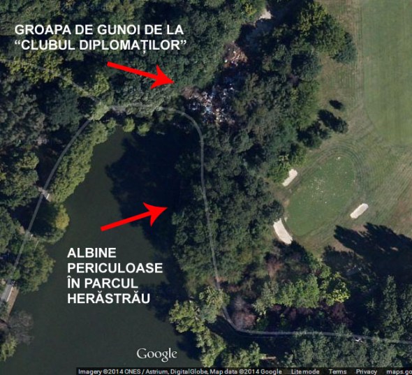 Albine periculoase Clubul Diplomatilor