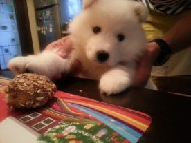 10382976_822060287840814_5600824190585728816_n