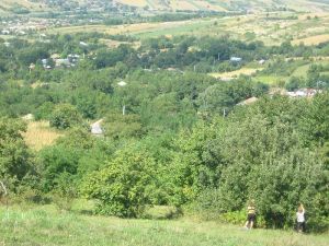 800px-Pâhna_-_toamnă_bogată