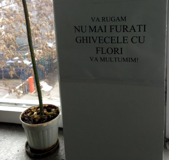 Policlinica Dorobanti 2