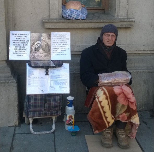 Cersetor Universitate