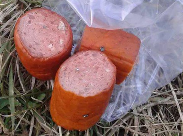 Parc Titan IOR - Carnati cu bolduri pentru caini