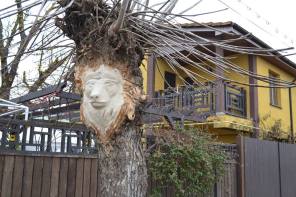 10940991_10204373476150854_8096338511251121087_n