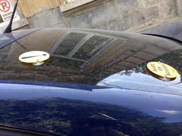 bulina-pe-geamurii-fumurii