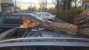 copac-prabust-peste-masina-sector-3-1