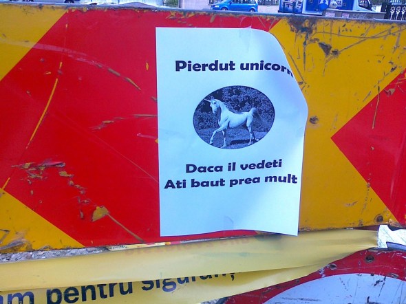 pierdut-unicorn