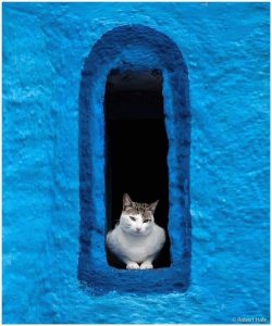 Chefchaouen 3