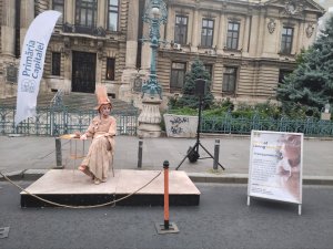 Franţuzoaica - LAURA DUMITRASCU-DUICA