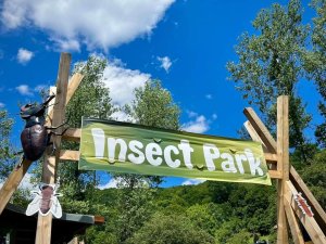 Insect Park